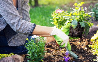 Brookfield Garden Centers